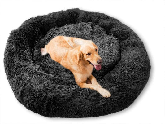 lit pour chien
