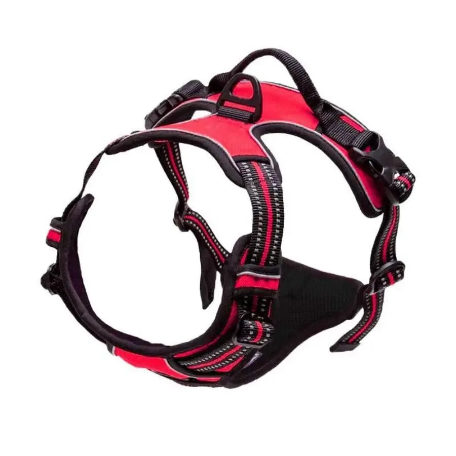 Harnais-Vest pour Chien – Confort et Sécurité Toutes Tailles
