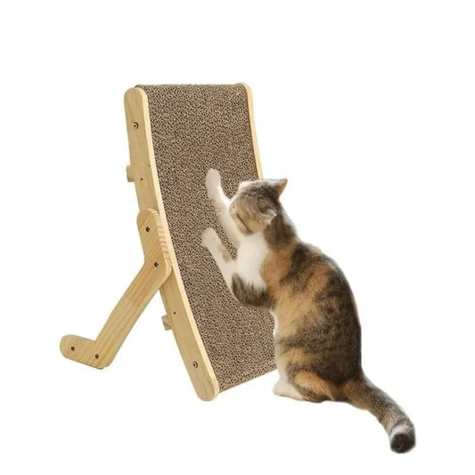 jouet pour chat