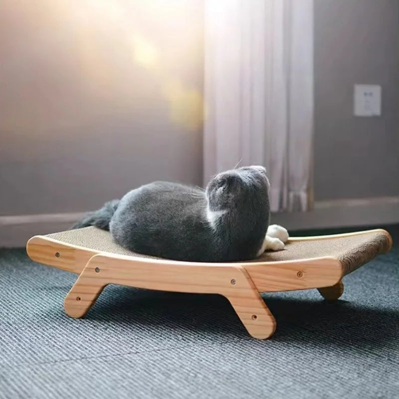 jouet pour chat