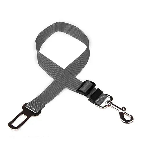 Ceinture de sécurité pour animaux de compagnie