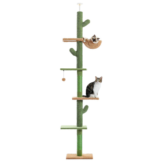 Arbre à chat cactus