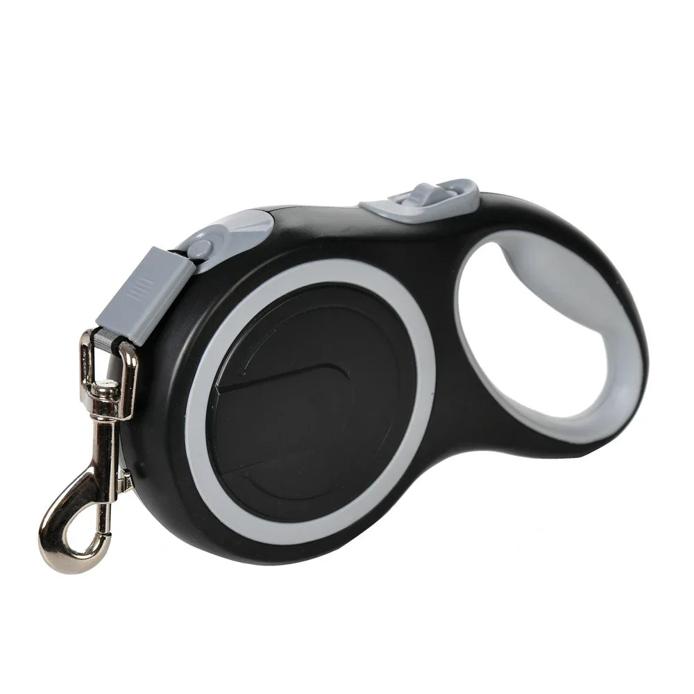 Laisse pour chien
