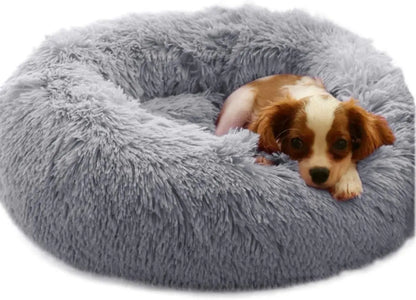 lit pour chien