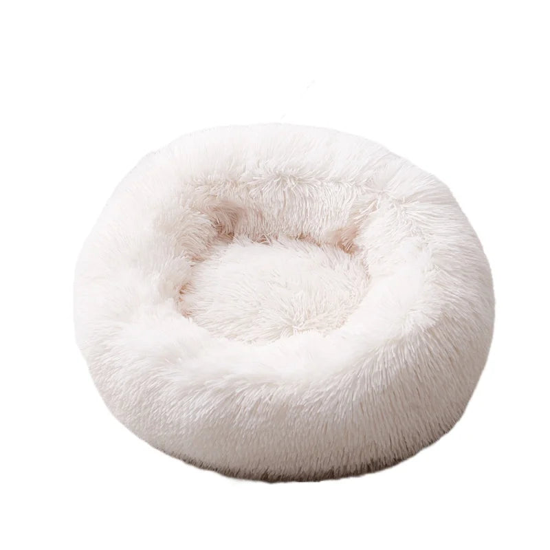 lit pour chien
