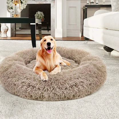 lit pour chien