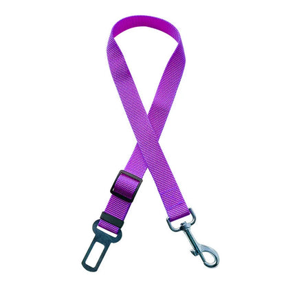 Laisse pour chien