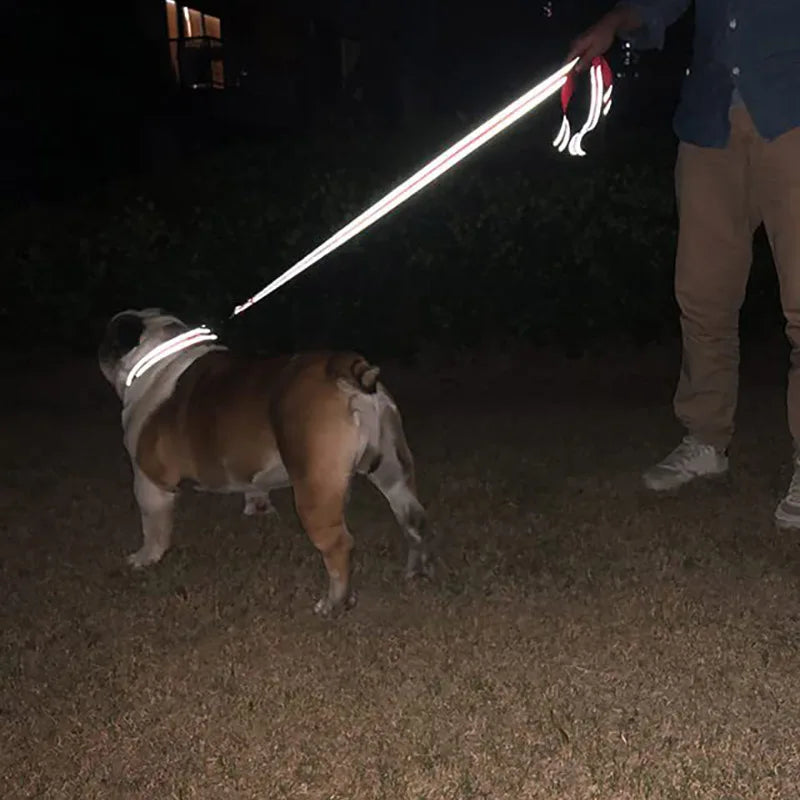 Laisse Pour Chien  pliable