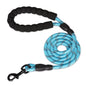 Laisse pour chien en nylon