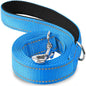 Laisse Pour Chien  pliable