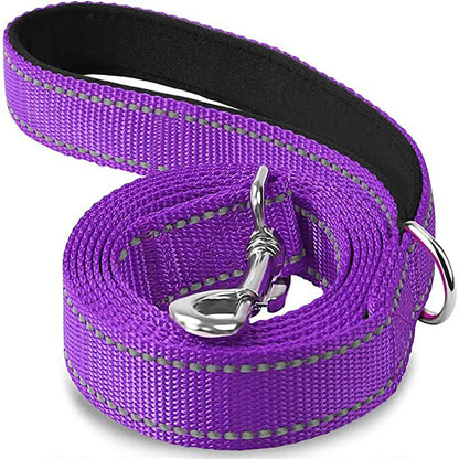 Laisse Pour Chien  pliable