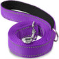 Laisse Pour Chien  pliable