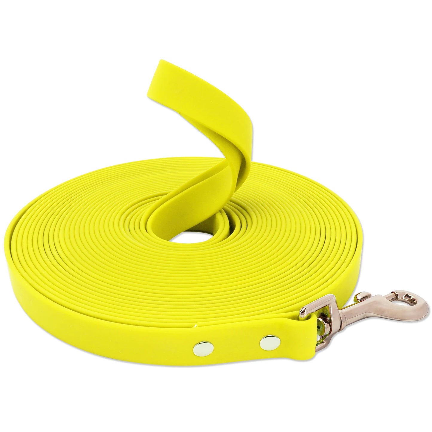 Laisse Pour Chien Waterproof