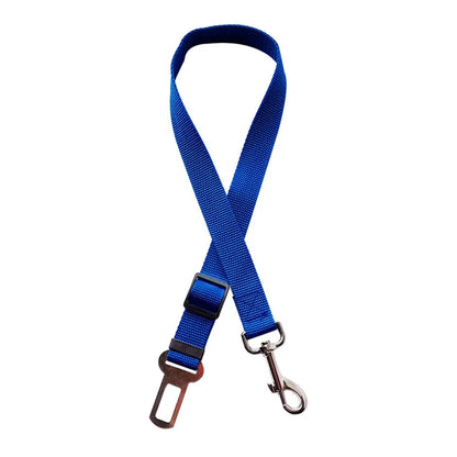 Laisse pour chien