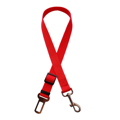 Laisse pour chien