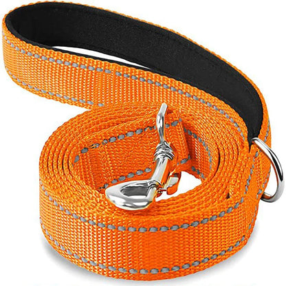 Laisse Pour Chien  pliable