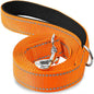 Laisse Pour Chien  pliable