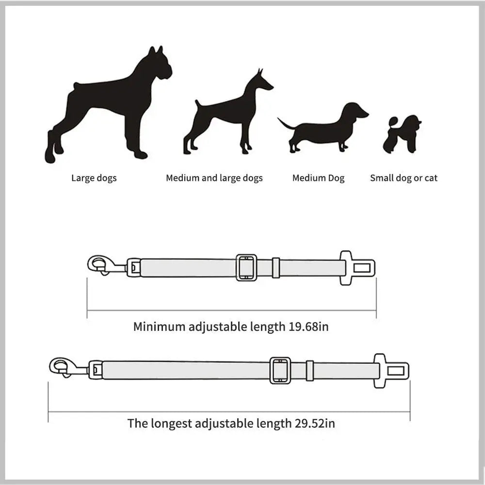 Ceinture de sécurité pour animaux de compagnie