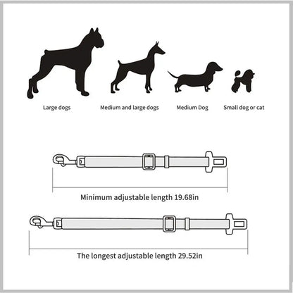 Ceinture de sécurité pour animaux de compagnie