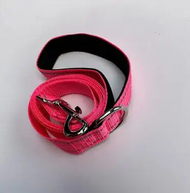 Laisse Pour Chien  pliable