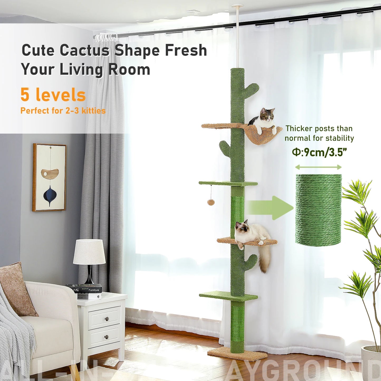 Arbre à chat cactus