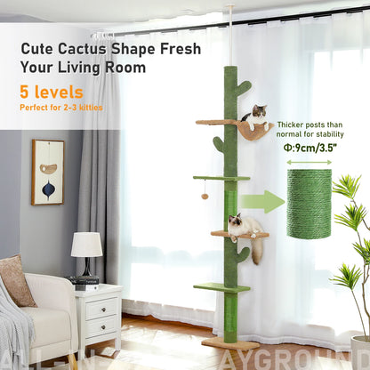Arbre à chat cactus