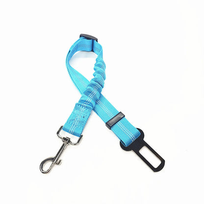Laisse pour chien