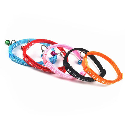 Collier pour chien et chat