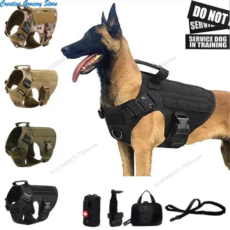 Harnais pour chien