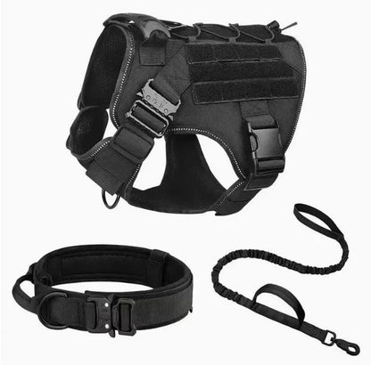 Harnais pour chien