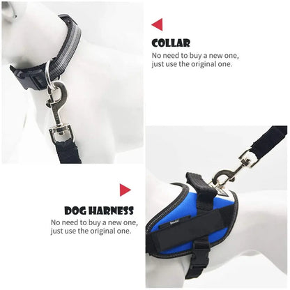 Ceinture de sécurité pour animaux de compagnie