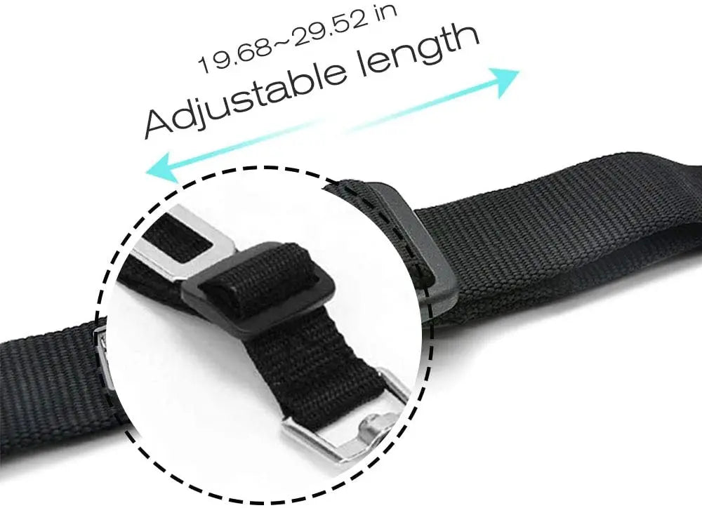 Ceinture de sécurité pour animaux de compagnie