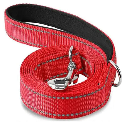 Laisse Pour Chien  pliable