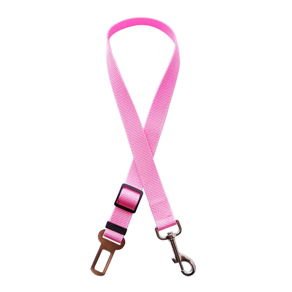Laisse pour chien