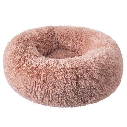 lit pour chien