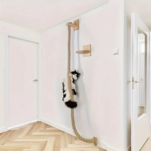 JOUET EDUCATIF POUR CHAT