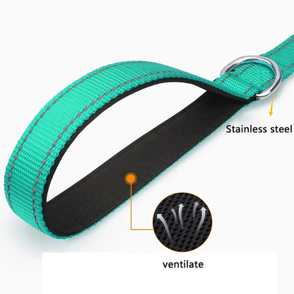 Laisse Pour Chien  pliable