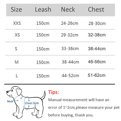 Harnais pour chien
