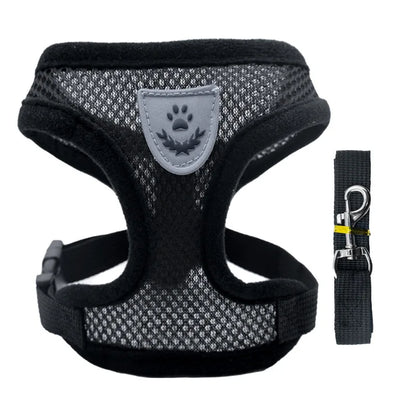Harnais pour animaux de compagnie
