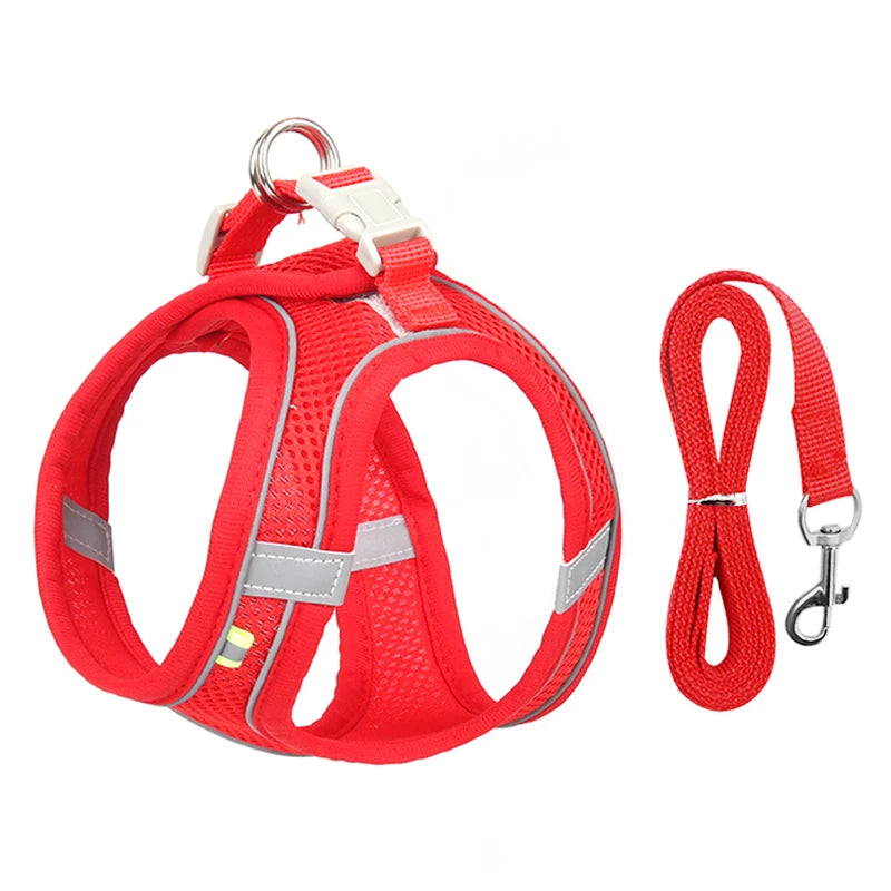 Harnais pour chien