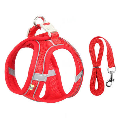 Harnais pour chien