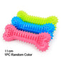Jouets pour petits chiens en caoutchouc