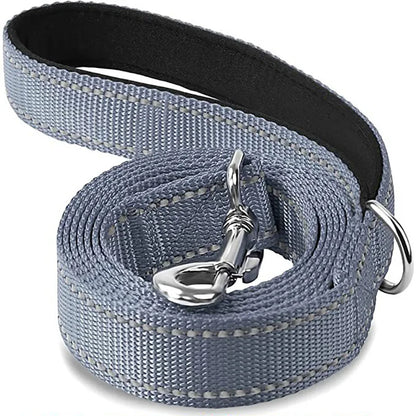 Laisse Pour Chien  pliable