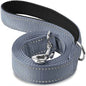 Laisse Pour Chien  pliable