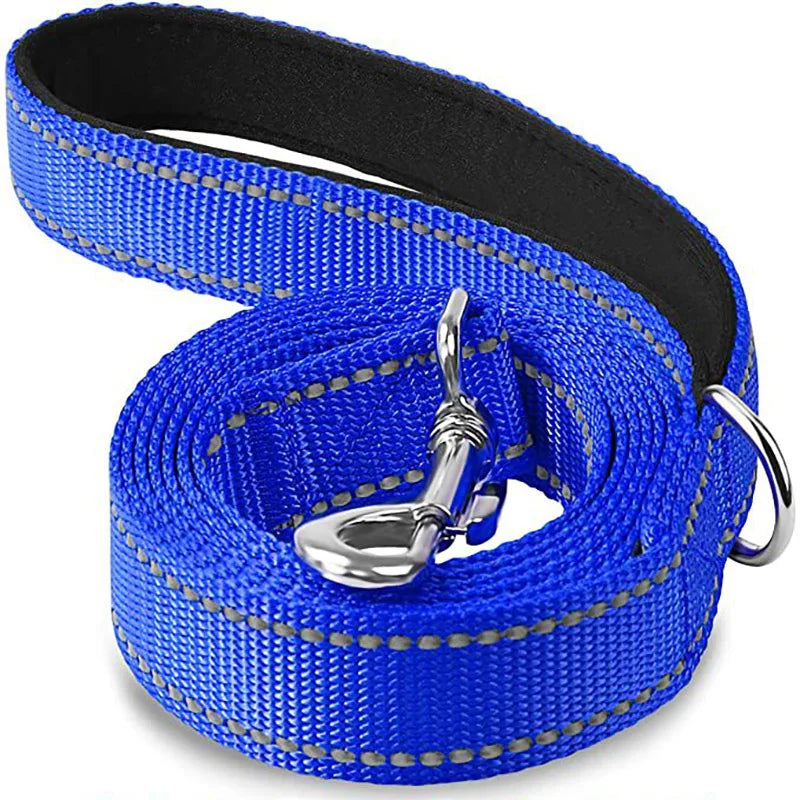 Laisse Pour Chien  pliable