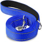 Laisse Pour Chien  pliable