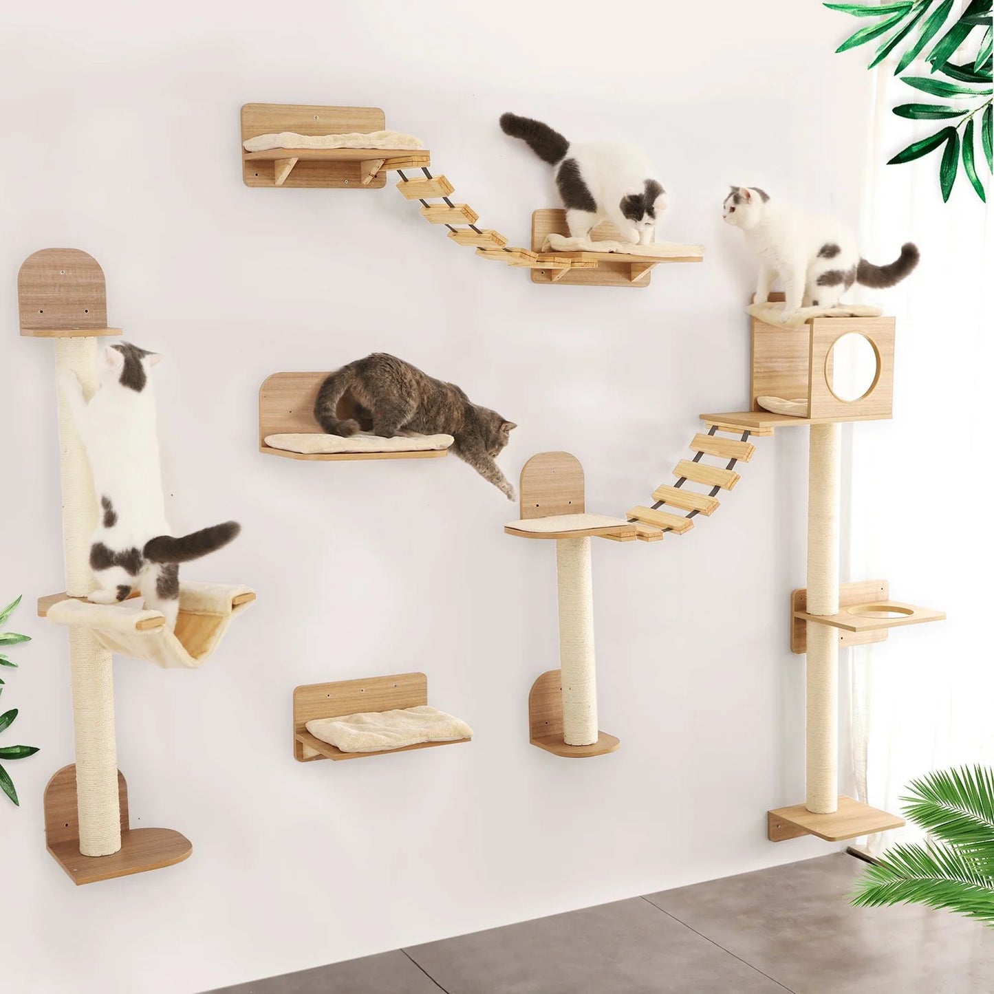 JOUET EDUCATIF POUR CHAT