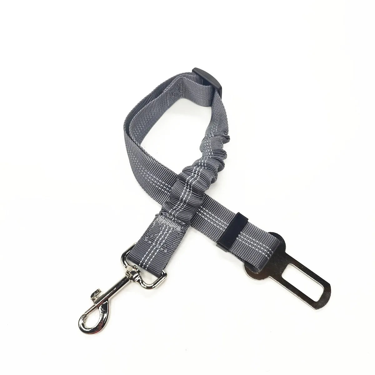 Laisse pour chien