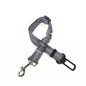 Laisse pour chien