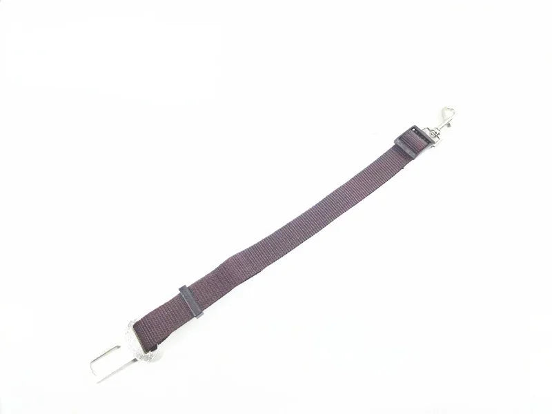 Ceinture de sécurité pour animaux de compagnie